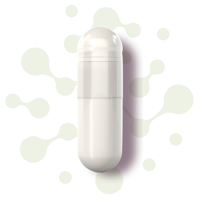 Daily Digestive Probiotic - 60 Billion CFU