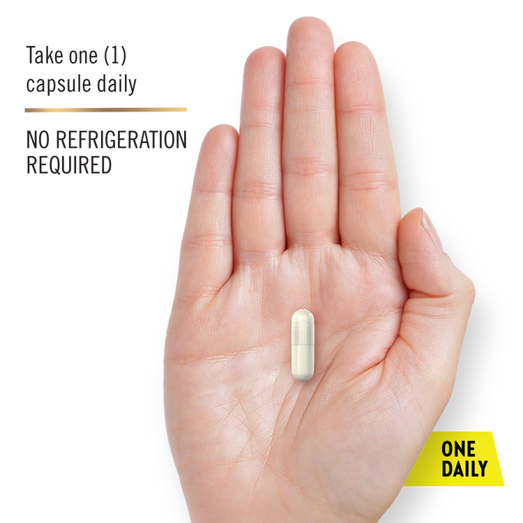 Men's Daily Digestive Probiotic - 25 Billion CFU^, 3 Bottles