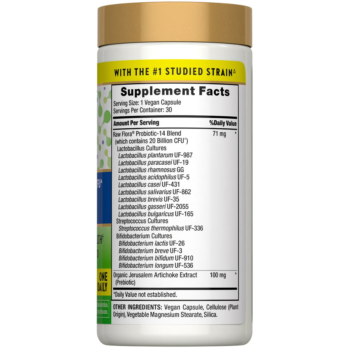 Raw Flora Probiotics for Women and Men | with Prebiotic | 30 Capsules | 20 Billion CFU | Supports Digestive Health | Vegan & Gluten Free Supplement