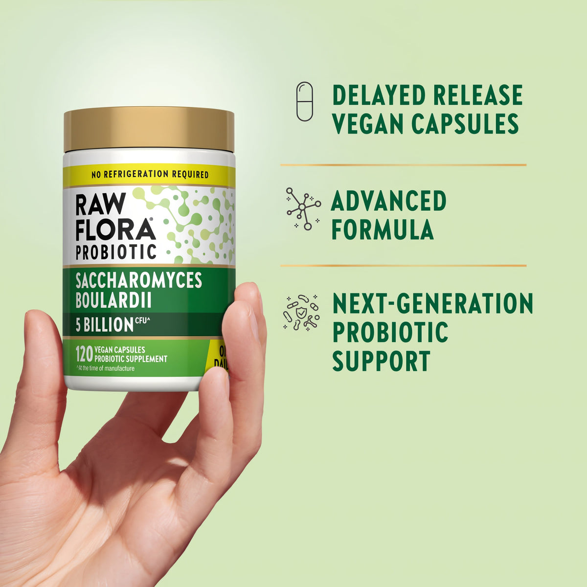 Raw Flora Saccharomyces Boulardii Probiotics Supplement | 250 mg | 120 Capsules | 5 Billion CFU | Vegan & Gluten Free