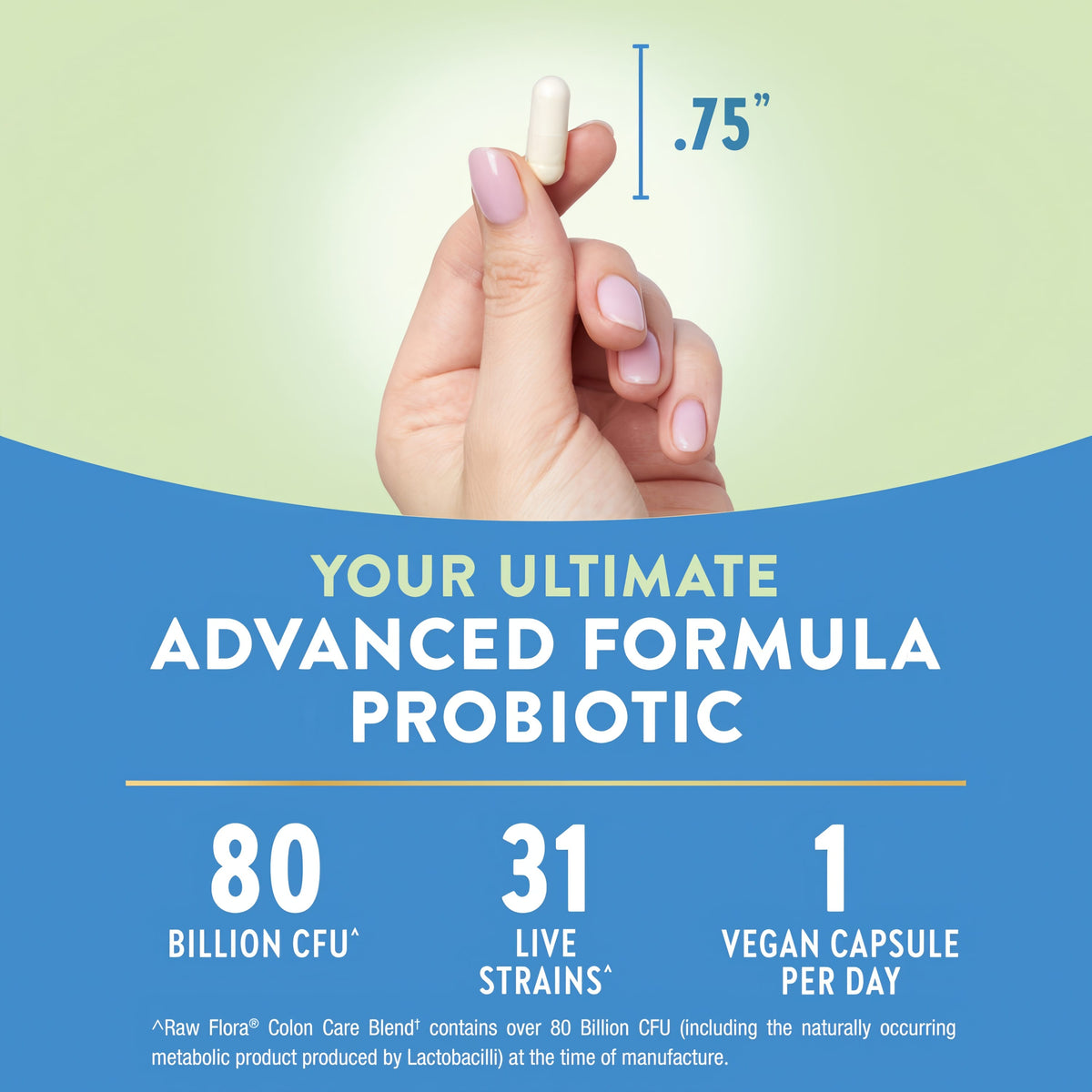Raw Flora Colon Care Probiotics Capsules | 80 Billion CFU | 60 Count | Supports Digestive and Colon Health | Vegan & Gluten Free Supplement
