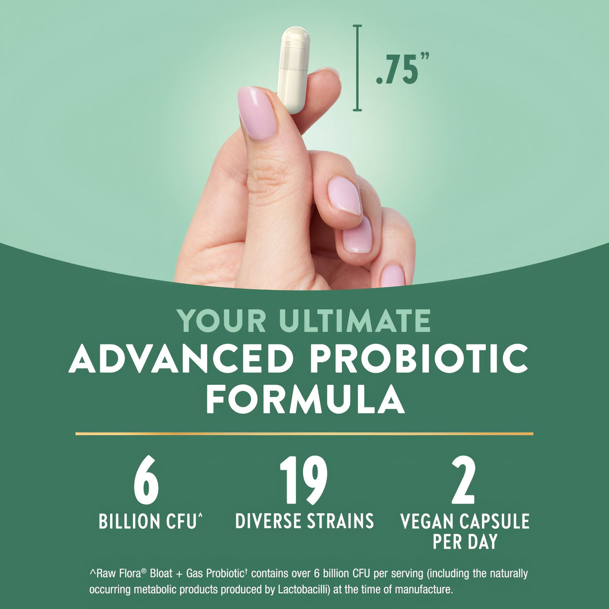 A hand holds a .75'' probiotic capsule: 6 Billion CFU, 19 diverse strains, 2 vegan capsules per day. Image type: bulk_scale.