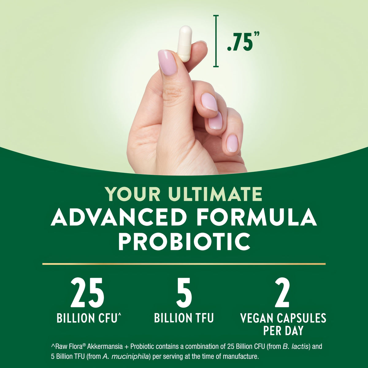 Raw Flora Akkermansia Muciniphila Probiotic | 60 Capsules | 30 Billion CFU | Vegan & Gluten Free Supplement