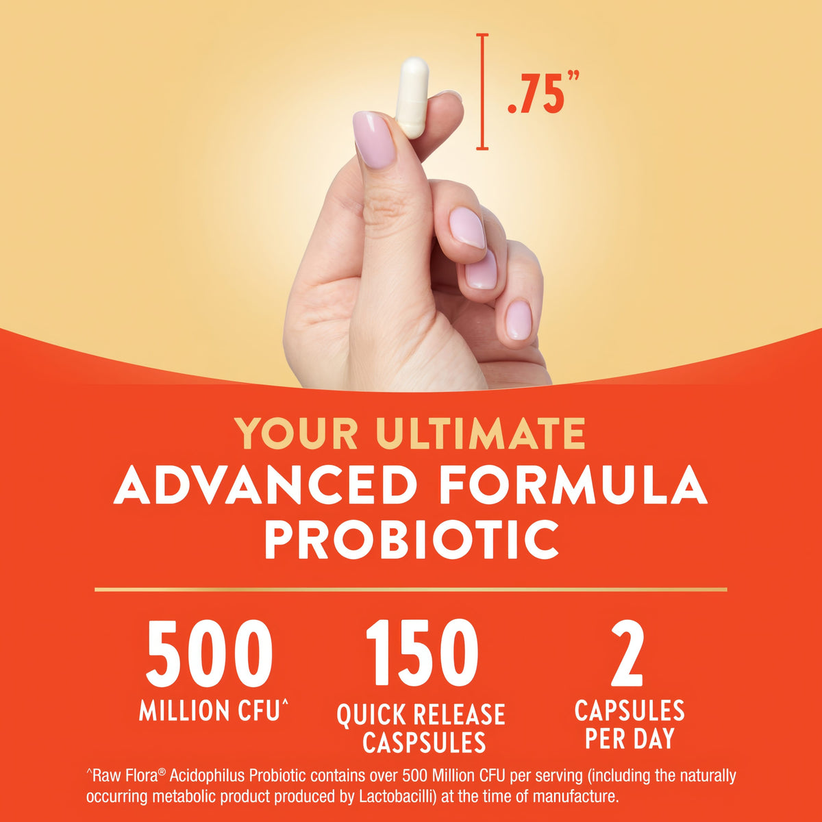 Raw Flora Acidophilus Probiotic Capsules | 500 Million CFU | 150 Count | for Women and Men | Gluten Free Supplement