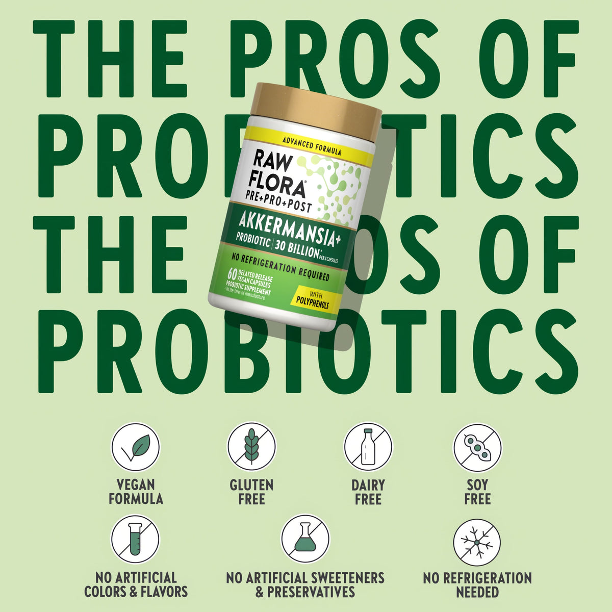 Raw Flora Akkermansia Muciniphila Probiotic | 60 Capsules | 30 Billion CFU | Vegan & Gluten Free Supplement