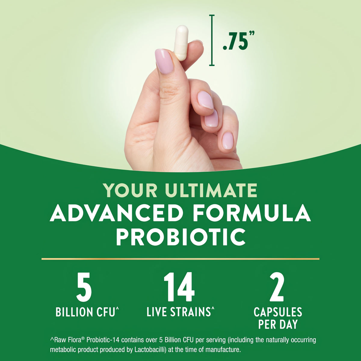 Raw Flora Probiotics for Women and Men | 120 Capsules | Supports Digestion | 5 Billion CFU | Gluten Free Supplement