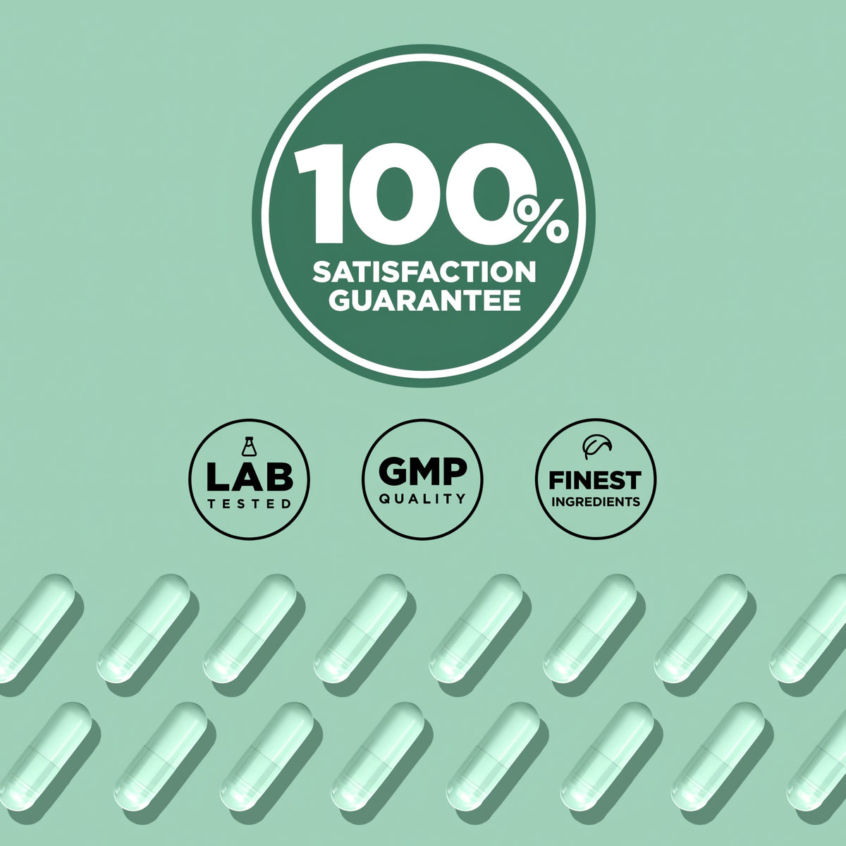 Infographic highlighting a 100% satisfaction guarantee, lab tested standards, GMP quality, and the finest ingredients.